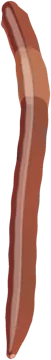 Live Worms lure