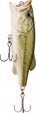 Popper lure